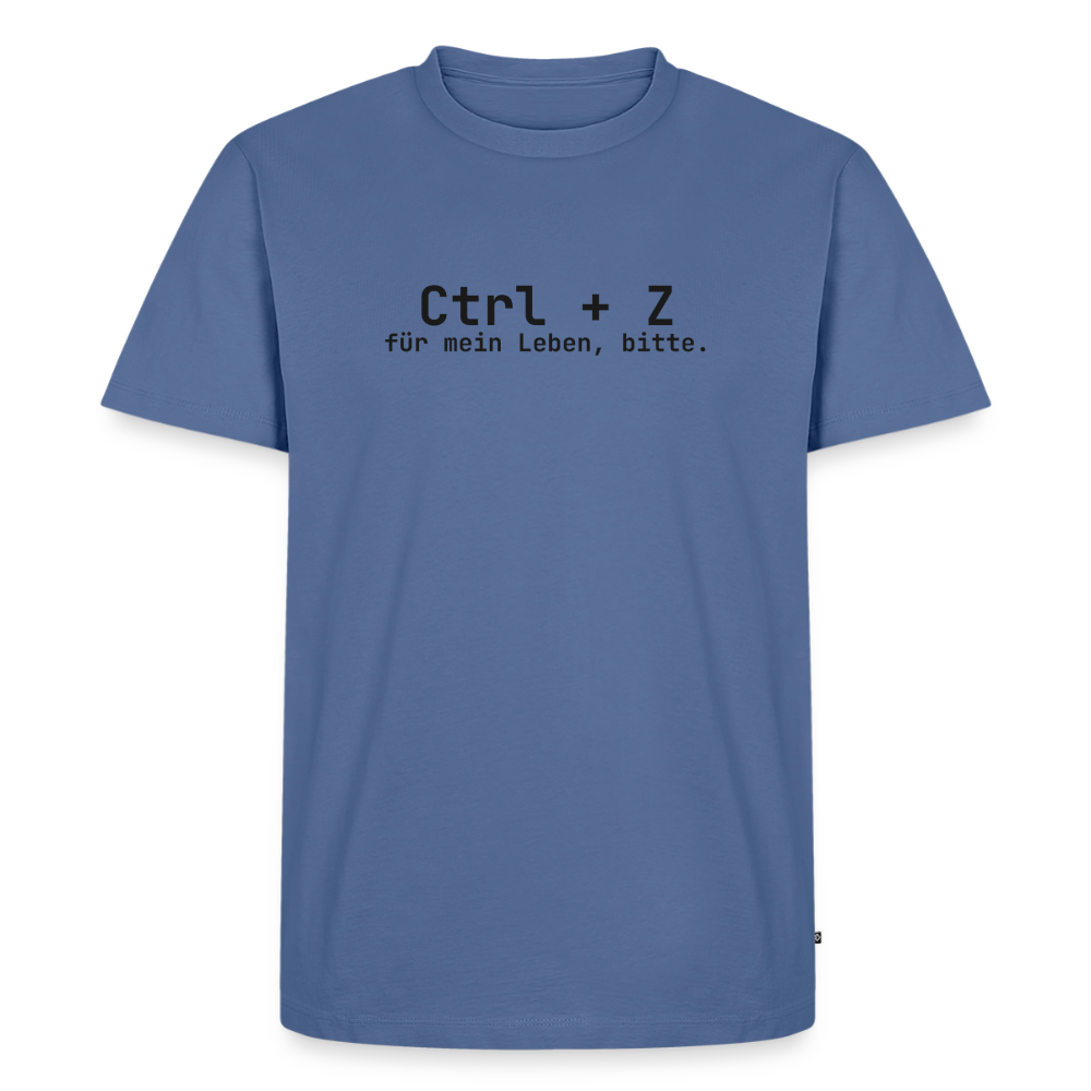 Ctrl + Z für mein Leben, bitte. - stone blue